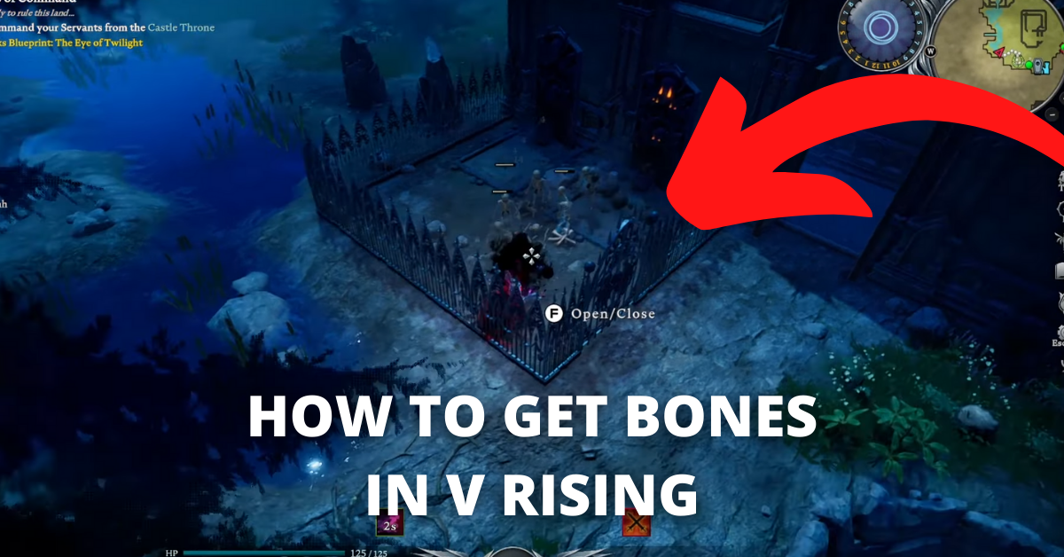 How to get Bones in V rising