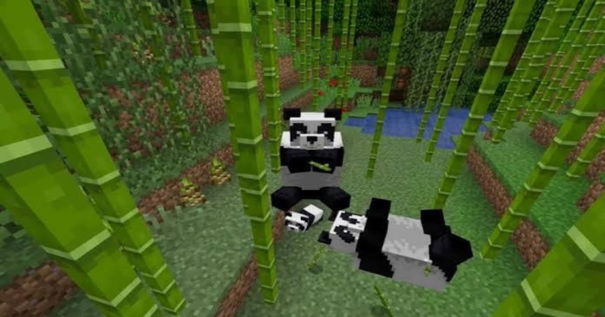 How to Tame a Panda in Minecraft