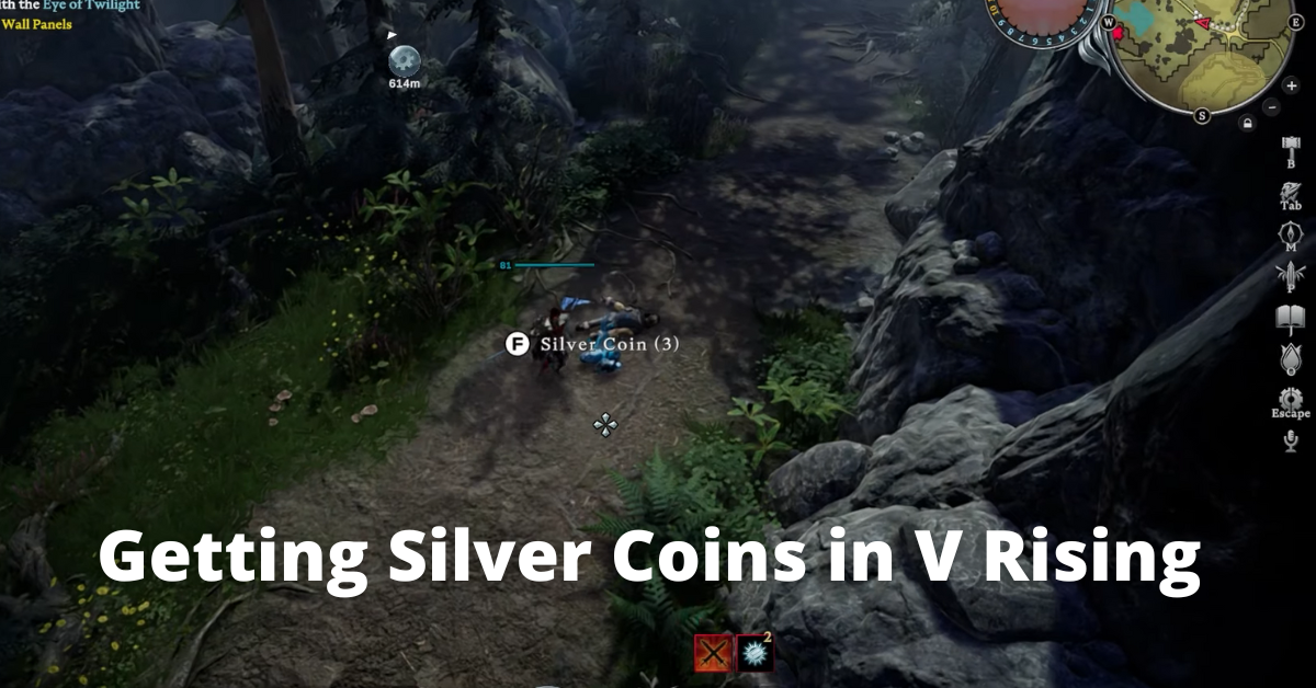 How to Use Silver Coins in v rising