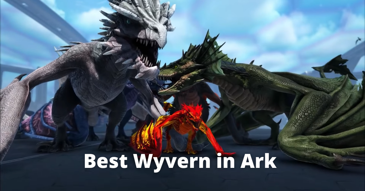 Best Wyvern Ark