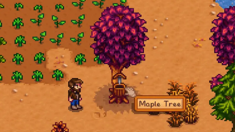 How to Get Maple Syrup in Stardew Valley