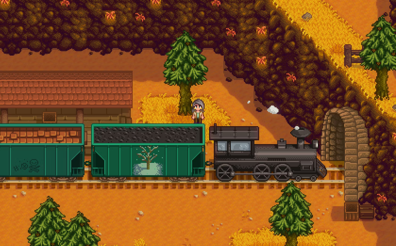 A Train Passing through Stardew Explained