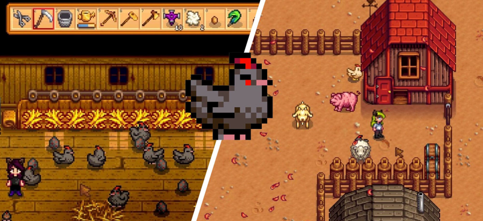 stardew valley feed chickens without silo