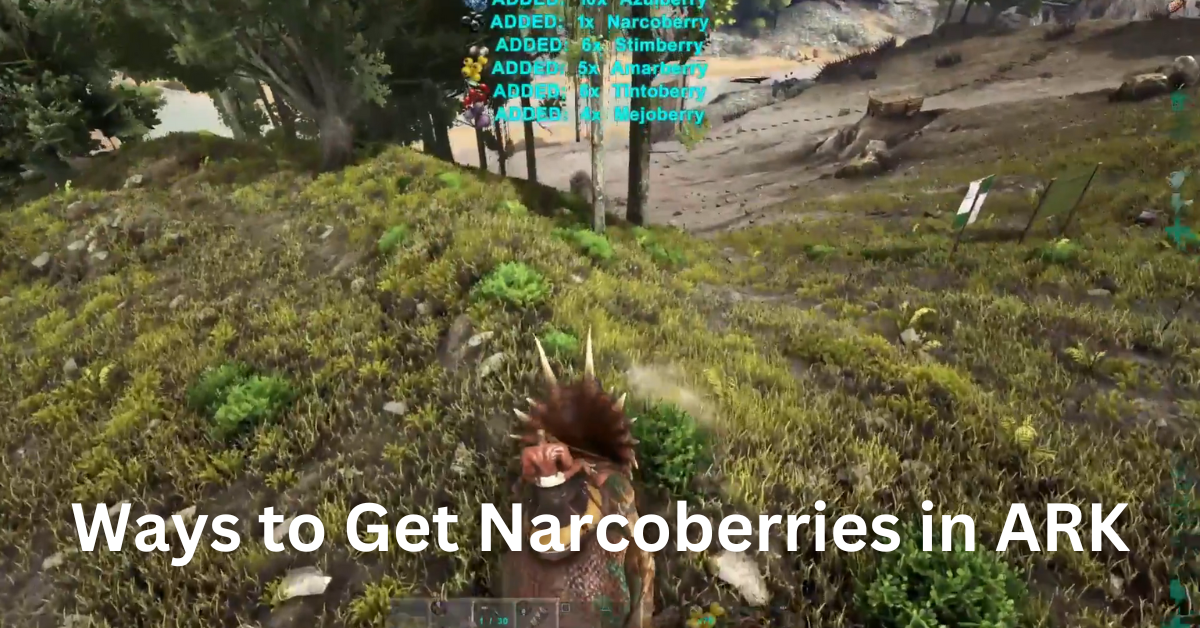 Best Ways to Get Narco Berries