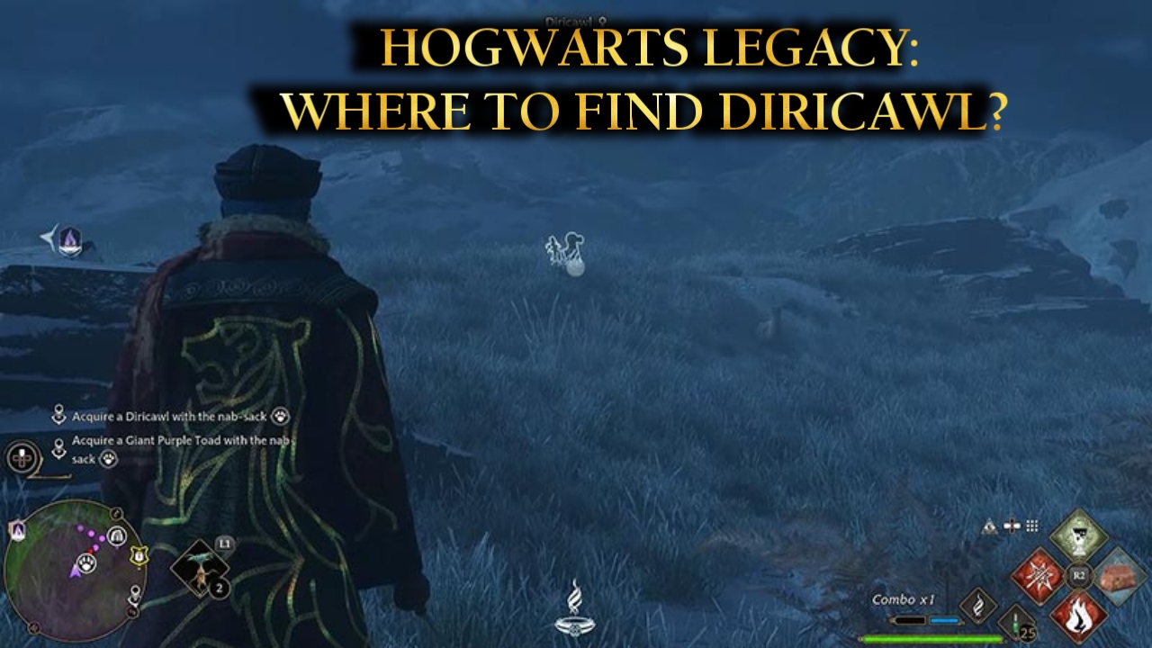 Hogwarts Legacy  Diricawl Locations Map - Den & How To Catch - GameWith