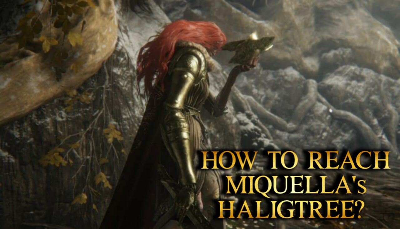 How to Reach Miquella's Haligtree?