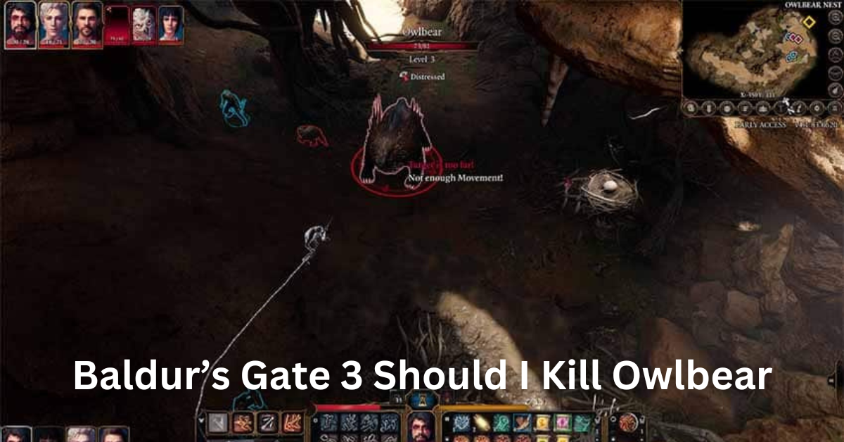 Baldur's Gate 3 Should I Kill the Owlbear