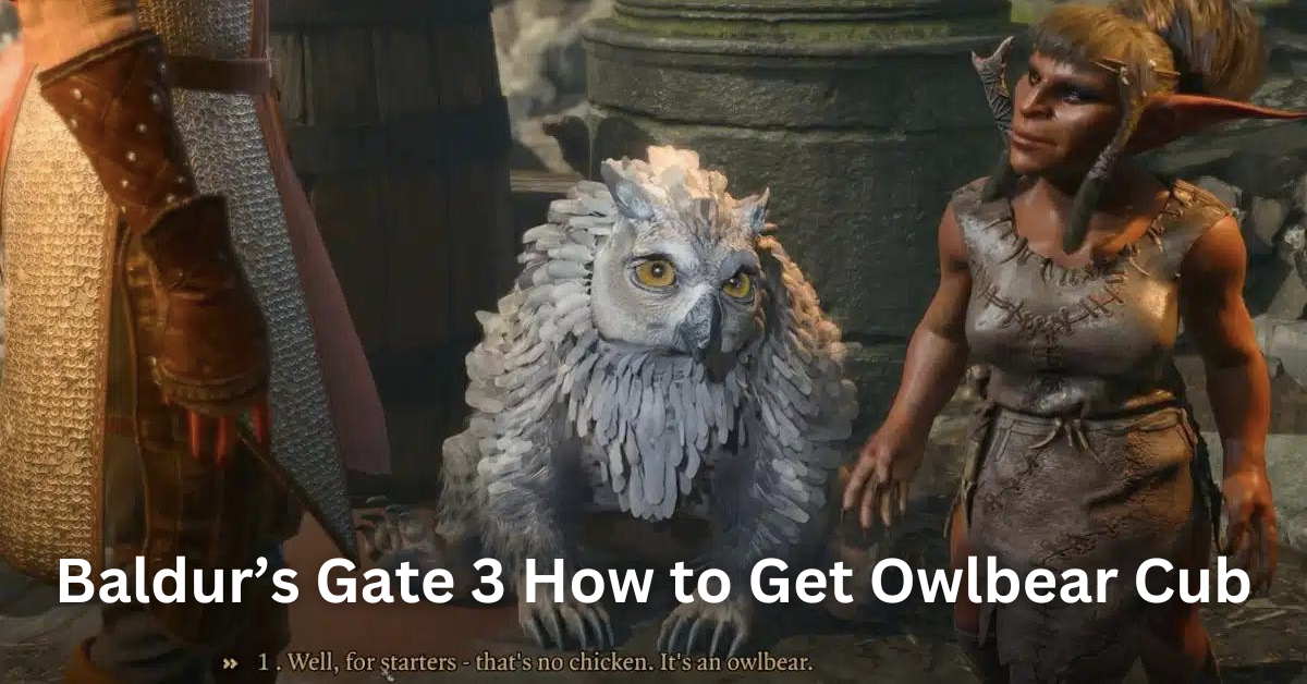 Baldur's Gate 3 How to Get Owlbear Cub