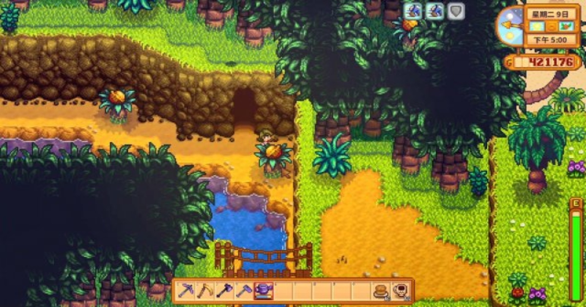 Golden Walnut Stardew Locations